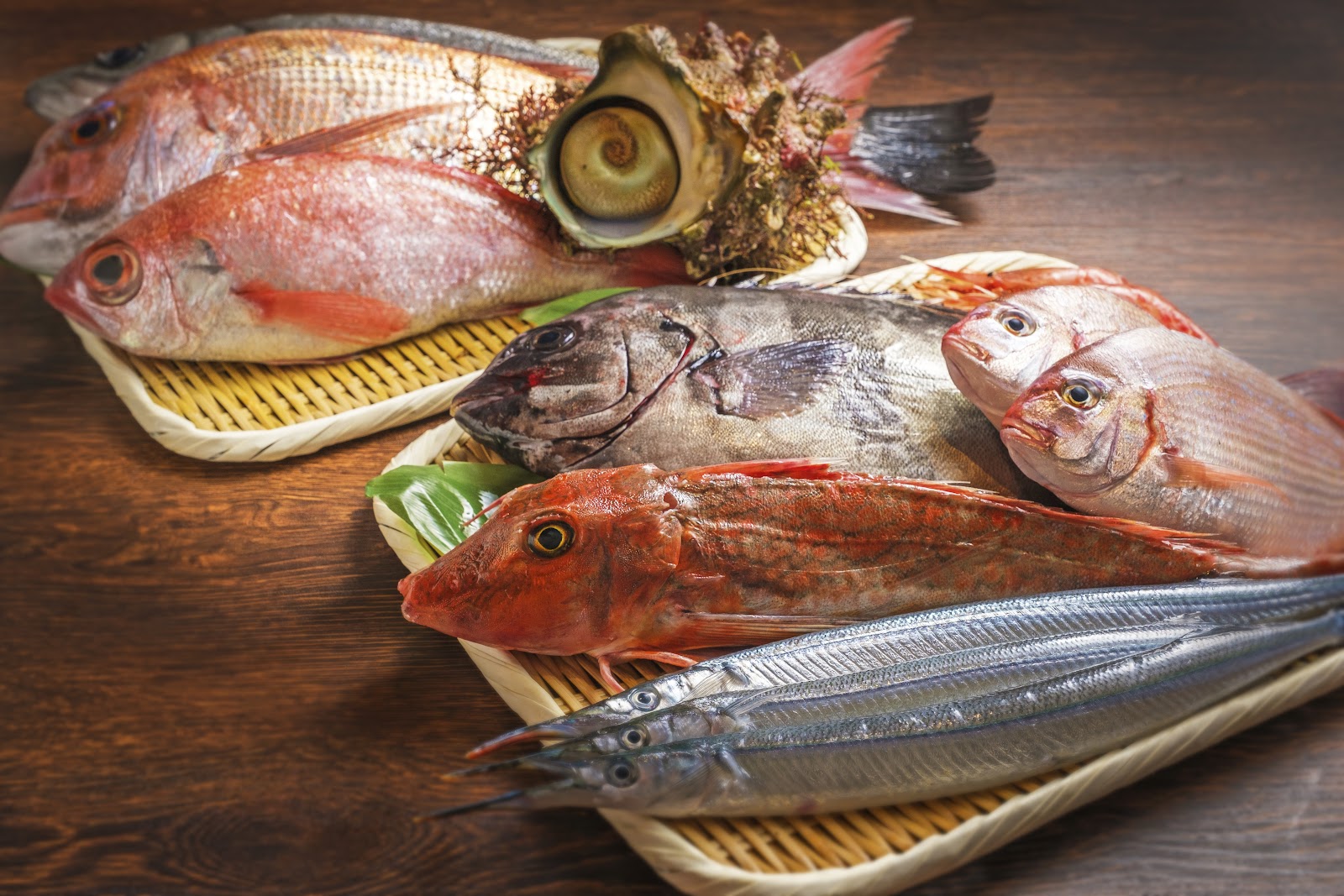 木の台の上、竹のざるにのせた丸のままの魚。赤い鯛が数尾、平たい銀色の魚、赤いほうぼう、細長い青い魚、そして巻き貝がひとつ。
